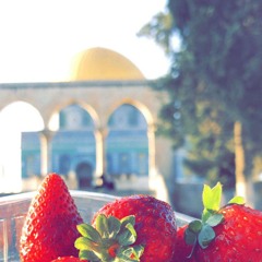 موال بشوق المحب أنا قد أتيت ♥️