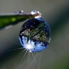 The Raindrop