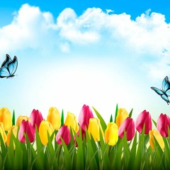 Brite - prod by Cure For Disco