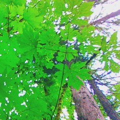 Ambient Electronica Breaks 🚦🕹️🚥