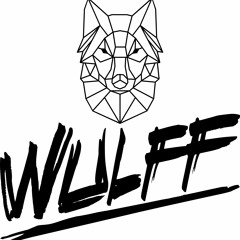 Dj Wulff (Mega Funk)