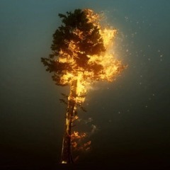 Family ties - PadrinoBeatz