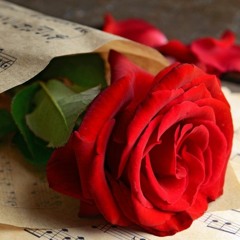 Roy Etzel - Luna Nel Blue