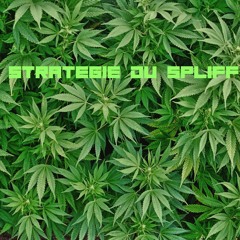 La Stratégie Du Spliff
