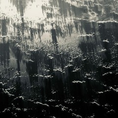 Floating Shadows