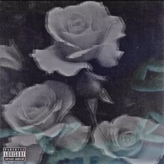 JordanDwayne - [ AscorpionIntheRoses] Factuality (Intro)