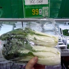 Chinese Cabbage