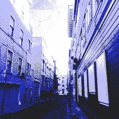 Kings Of Animals (Small Black Cover)