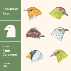 Fábio Caramuru - Hashibosogarasu