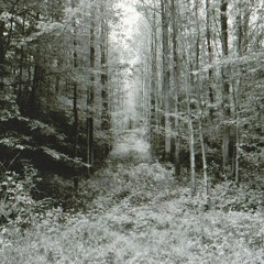 Wenn's draußen grün wird