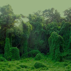 Two to Tango 〜 Kudzu Bebop (Squeakeasy Underneath the Foliage)