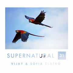 Supernatural 31 by Vijay & Sofia Zlatko