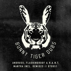 Andruss, Flashingroof, H.A.N.T. - Mantra (TAYA Remix) • Bunny Tiger Dubs