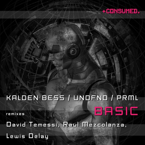 Kalden Bess, UNDFND, PRML - Basic (Original Mix) - CSMD106
