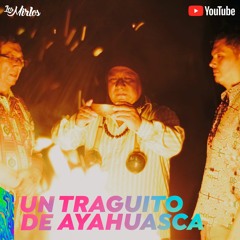 Un Traguito de Ayahuasca