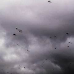 Appreciate the rain - appreciate the life