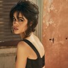 Sangria Wine Camila Cabello Live From Never Be The Same Tour Mp3