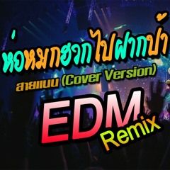 ห่อหมกฮวกไปฝากป้า (EDM-Remix) - สายแนน Cover