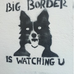 Big Border Is Watching You