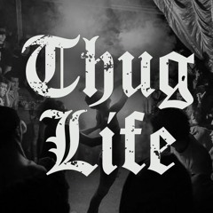 Thug life music - sha3by edition موسيقي قصف الجبهات - النسخه الشعبي