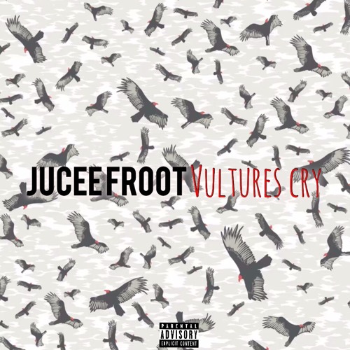 Vultures Cry