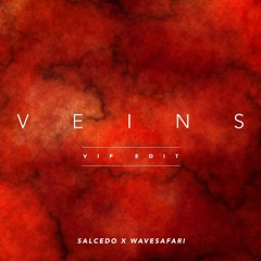 Veins (Wavesafari x Salcedo VIP Edit)