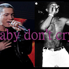 Eminem Ft. 2Pac - Baby Don't Cry! (2018)