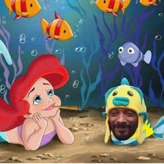 The Adventures Of Snoop Sogg And Mermaid Ariel