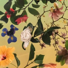 What You Want [Prod Maxvon x Lukrative]