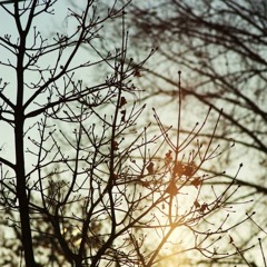 Birds Of A Feather, We Rock Together