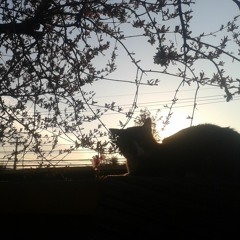 Los Dias Que Pasaron