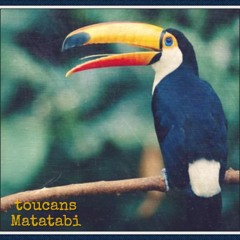 Toucans e.p. "some Loops"