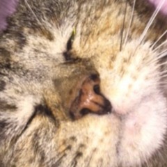 Lyndale - Rydah Freestyle