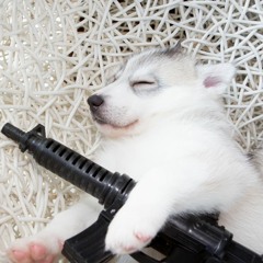 9UCCI BANK [FOXSKY Version]