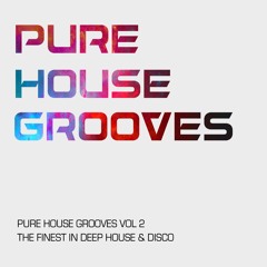 Pure House Grooves Vol. 02