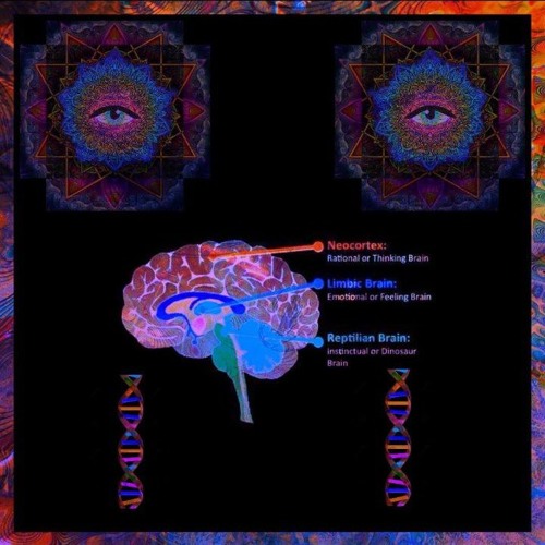 NAGA 93 - QUESTIONS//CONFESSIONS (PROD. MAVO)