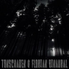 Tonschaden & Florian Binaural - Studio Session - 05.05.2018 Live Set