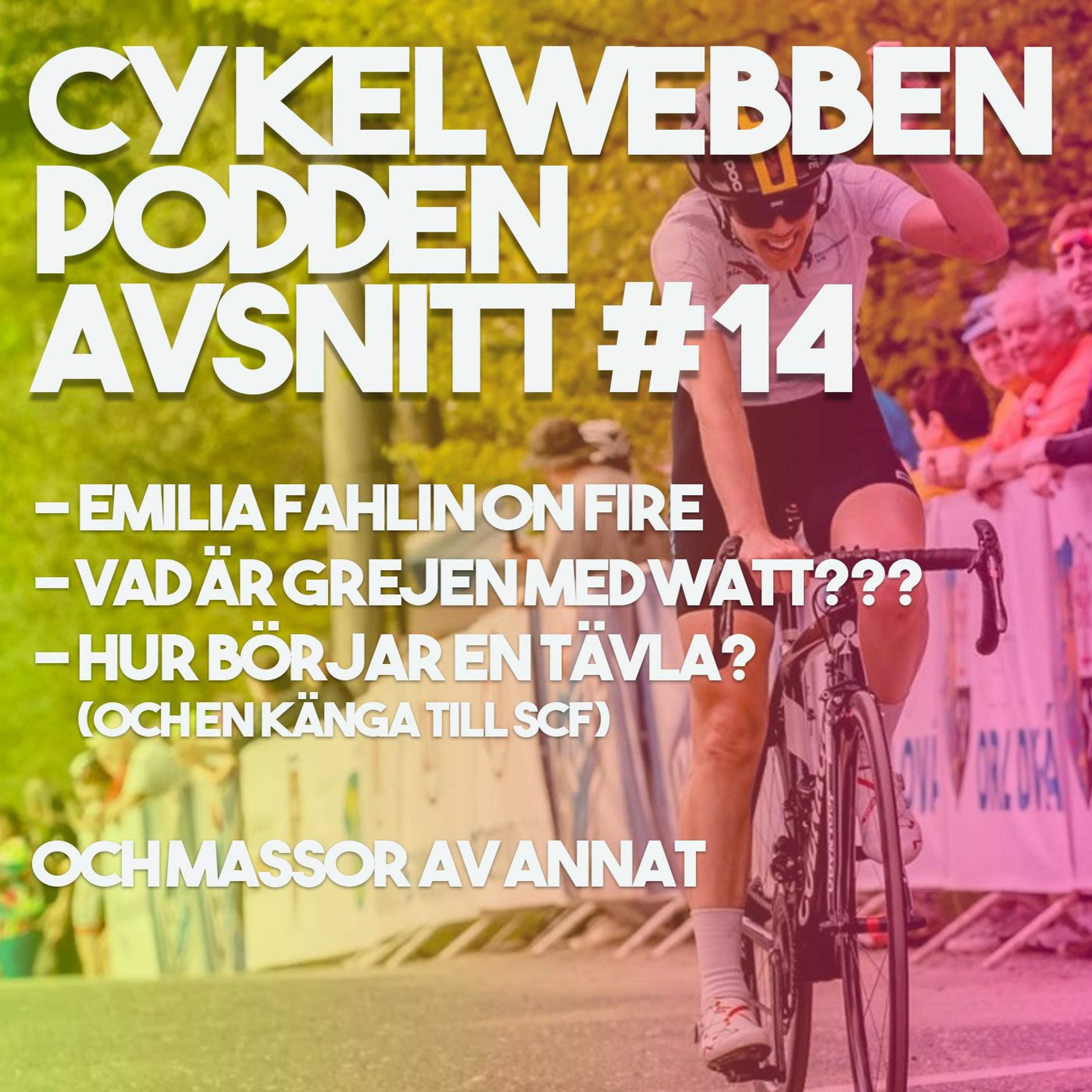 CykelwebbenPodden