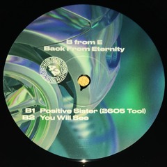 B From E - You Will See [Tartelet Records]