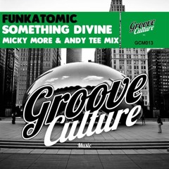 Funkatomic -Something Divine (Micky More & Andy Tee Mix )