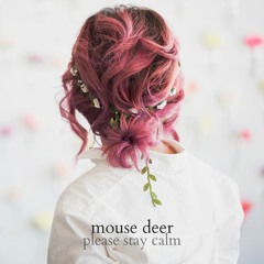 Never Meant (American Football cover)