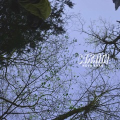 Peace Of Mind - Nova Khan (prod. Nova Khan)