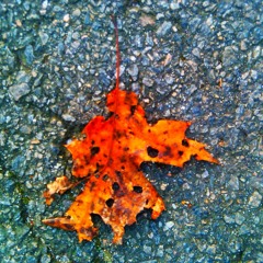 Slow Blues