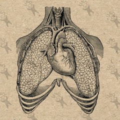 chestache.