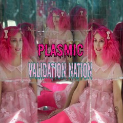 Validation Nation