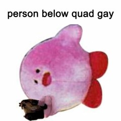 this meme can't