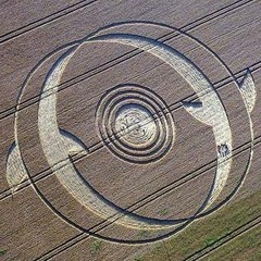 Destiny Loop Mastered