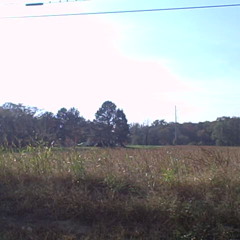 14. Life (Prod By J Dilla)