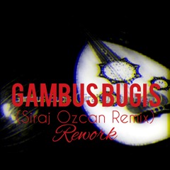 Gambus Bugis 'Rework' (Siraj Ozcan Remix).mp3