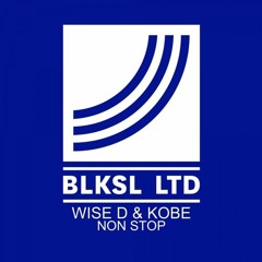 Wise D & Kobe - Non Stop (Original Mix) Preview